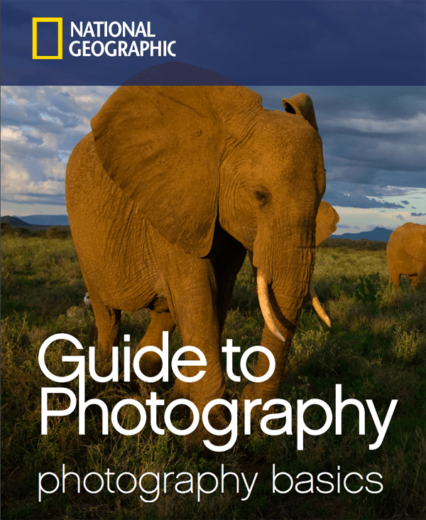 Freebie Alert Get the “National Geographic Guide to Photography” with This Free PDF Download