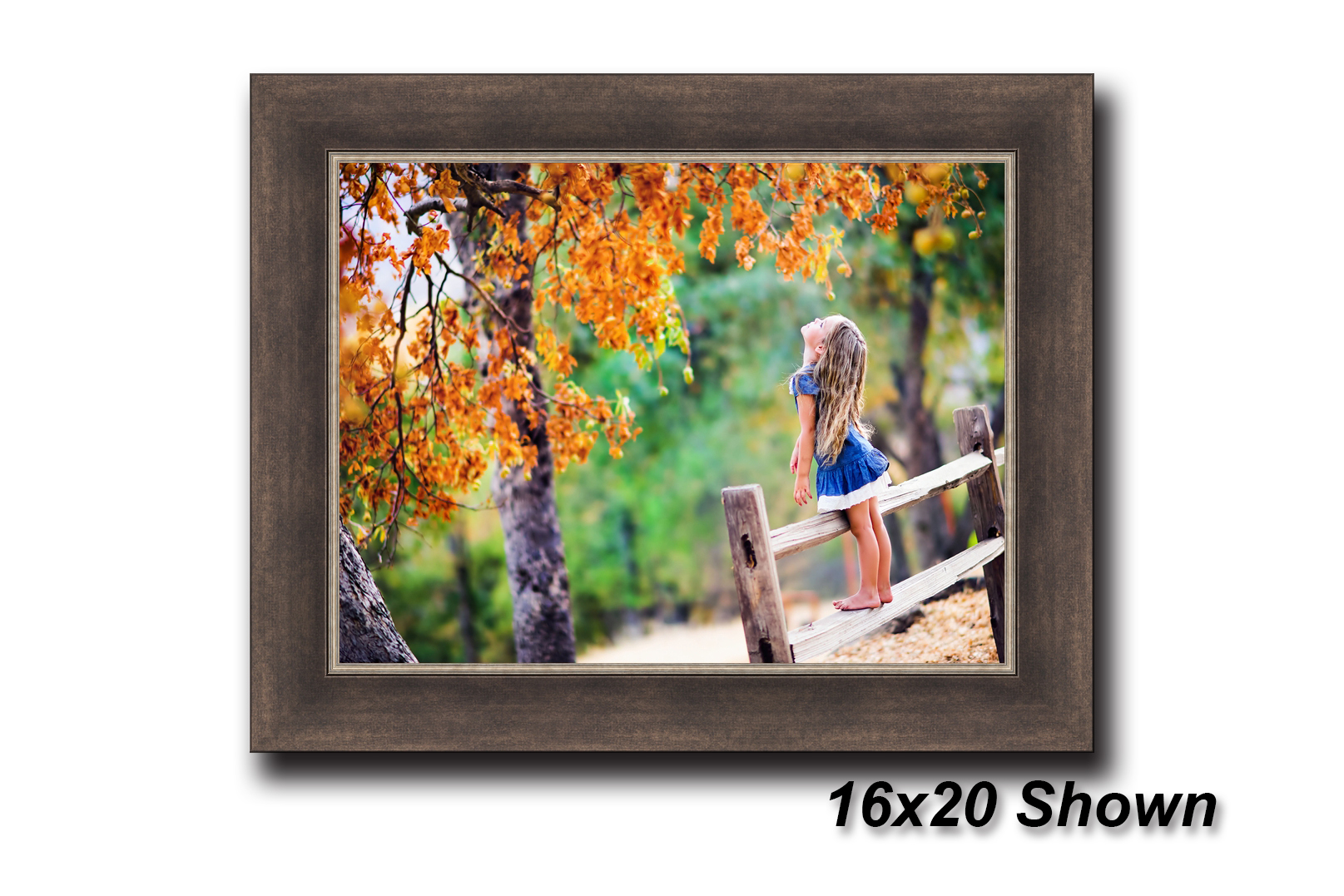 Andover Framed Canvas Shutterbug Printing & Framing