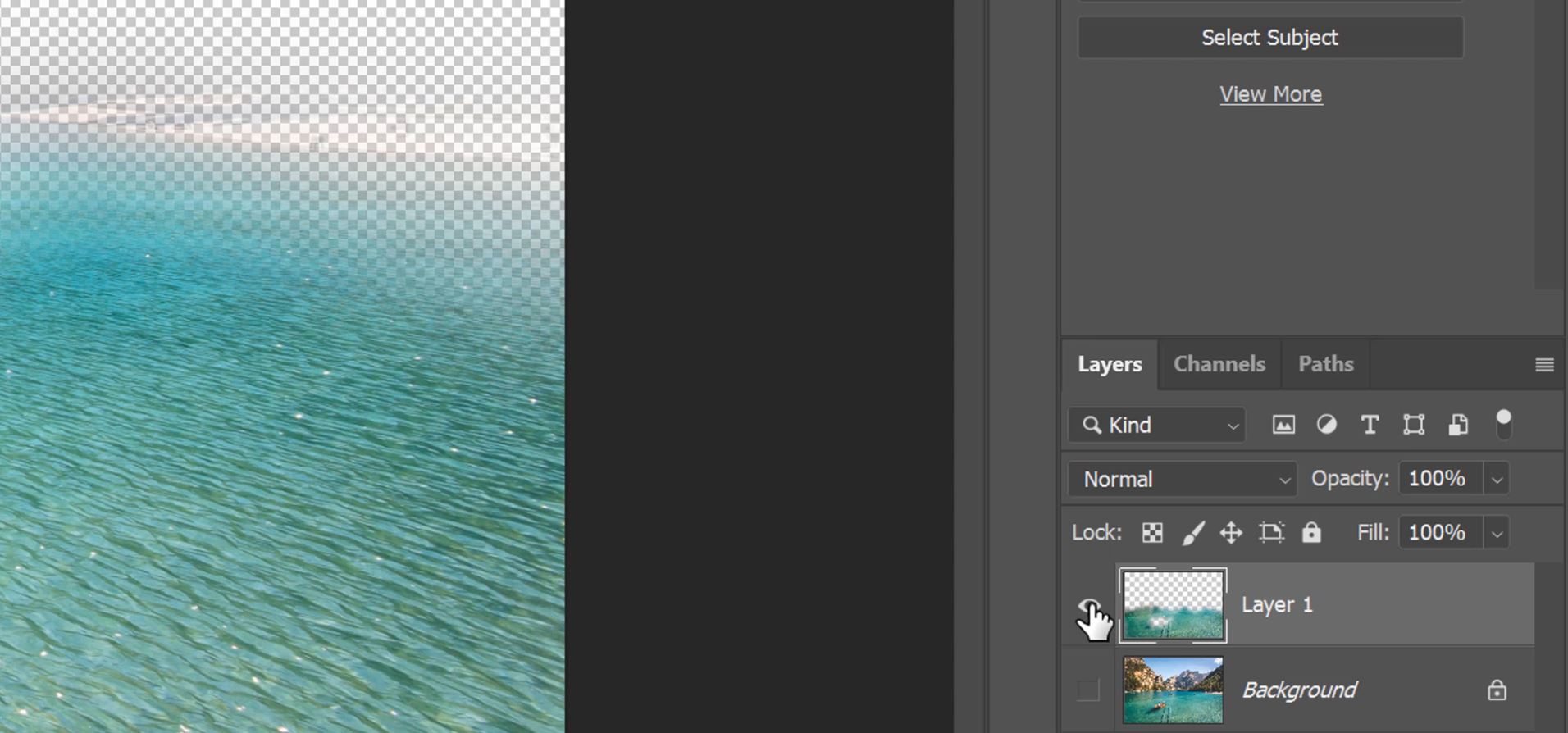 How To Apply Selective Sharpening in Shutter...Evolve