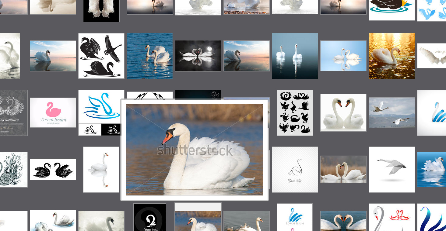 Introducing Mouseover Image Preview The Shutterstock Blog