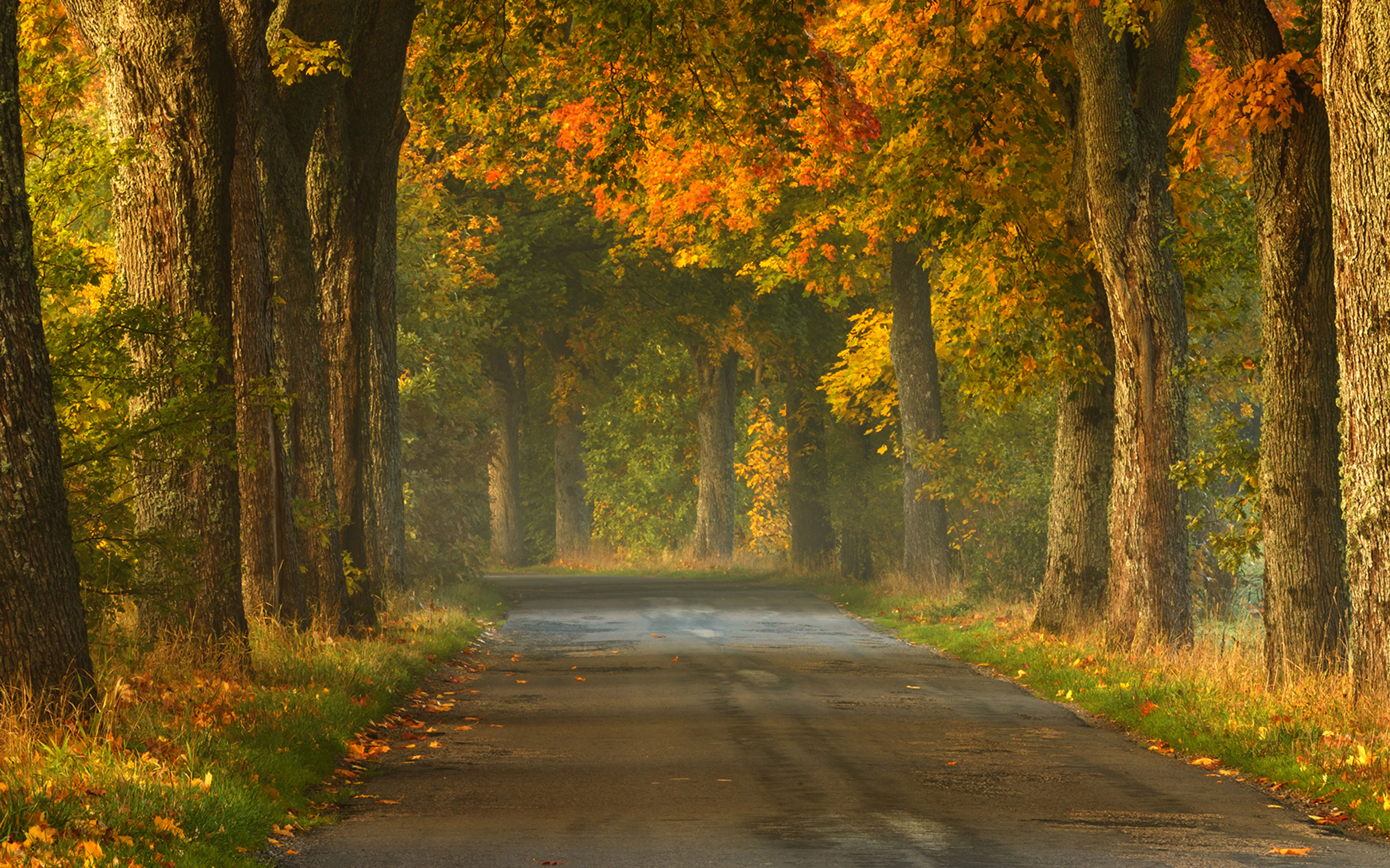 Images, Stock Photos & Vectors Shutterstock