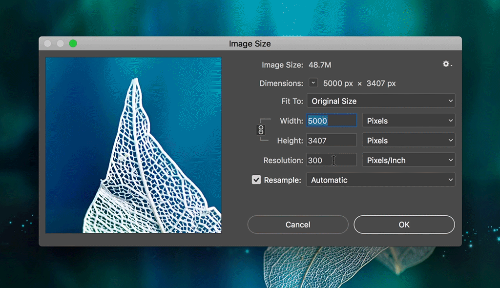 Dots Per Inch Meaning / What Does Dpi Mean Handy Indie Author Guides By