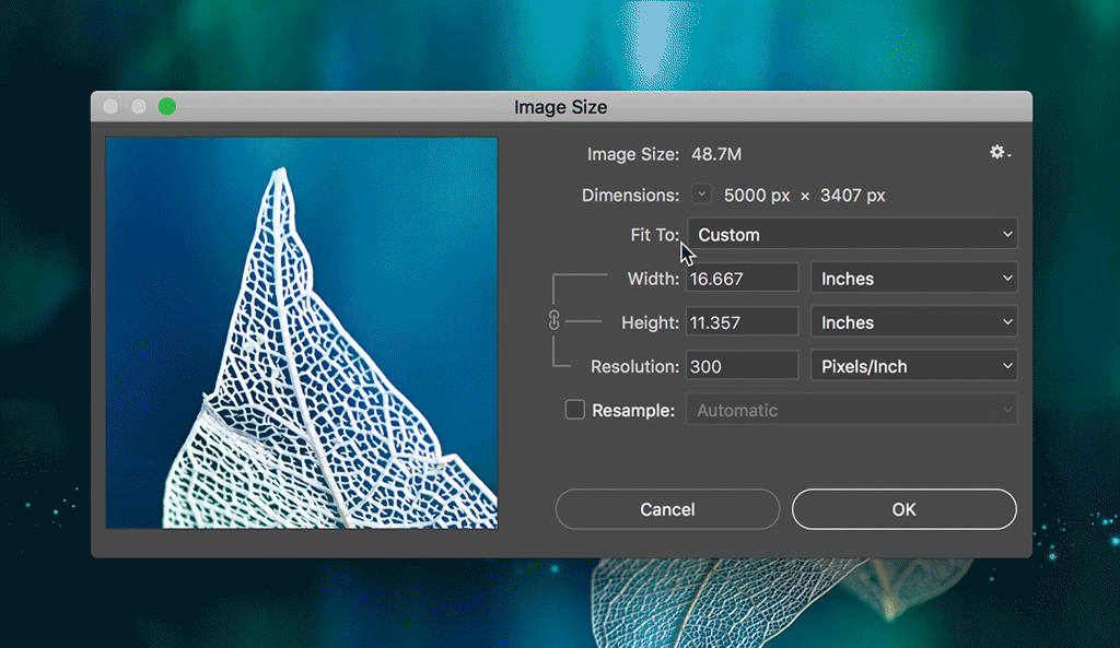 PPI vs DPI Demystifying the World of Online and Print Resolution