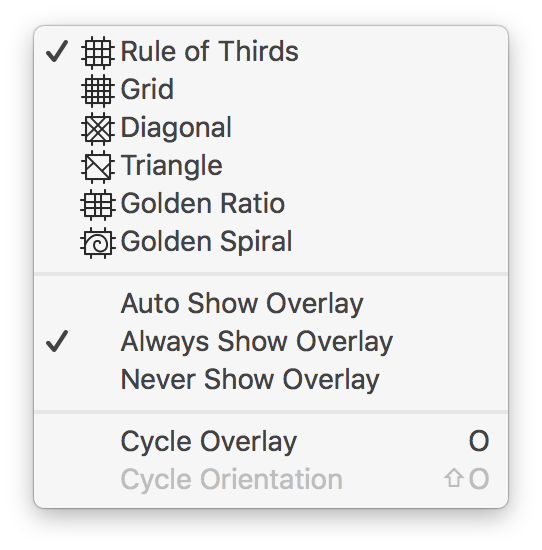 Basic Photo Editing How to Use the Crop Tool in