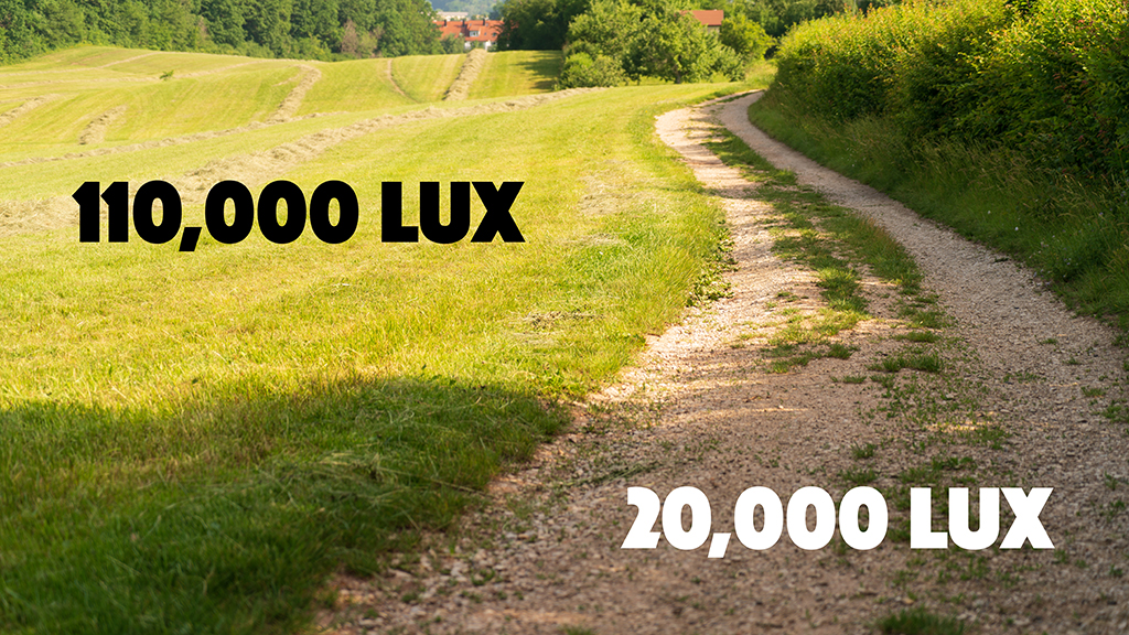 Natural Light Photography How to Take Photos at Any Time of Day