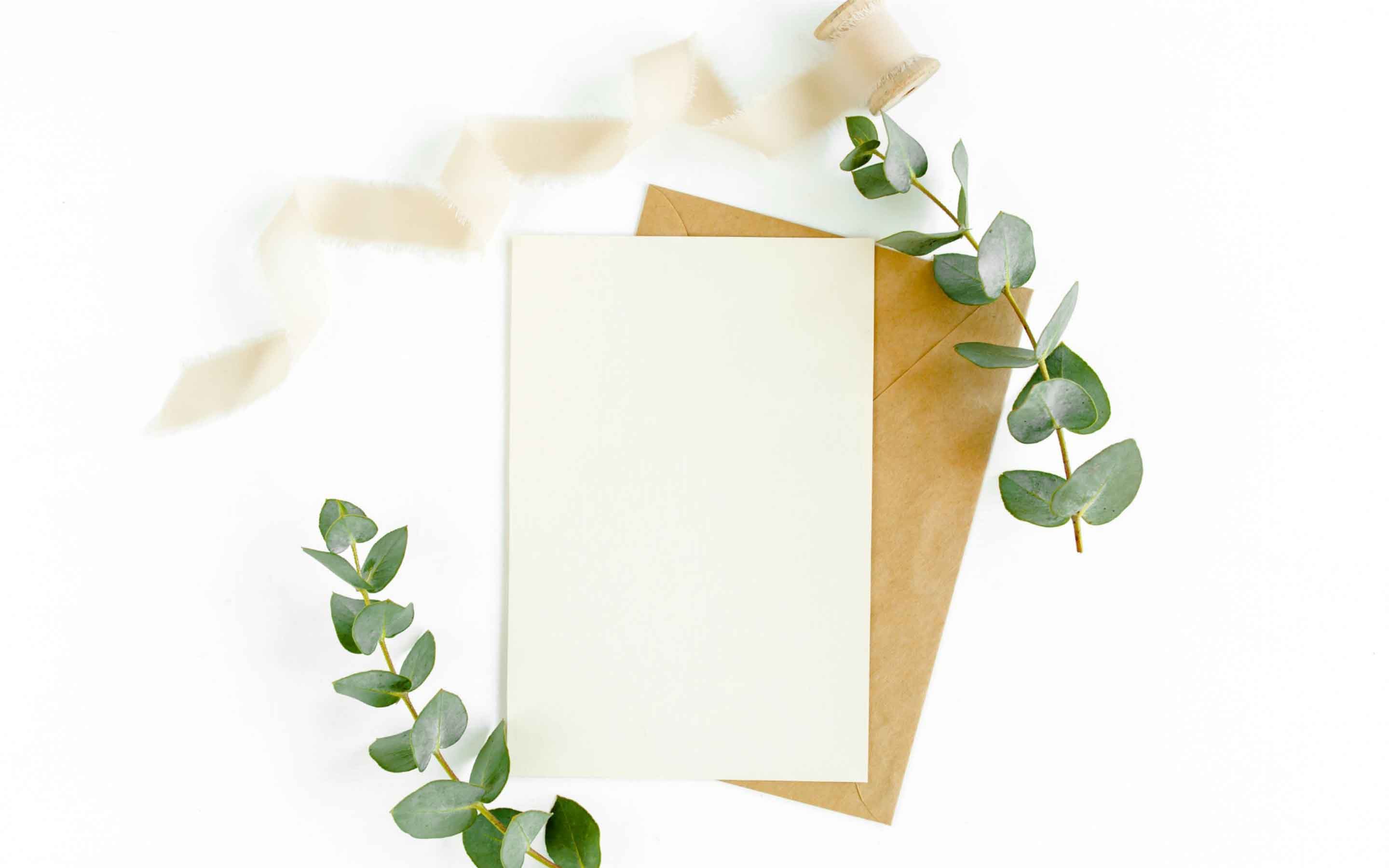 Blank Greeting Card Template Microsoft Word