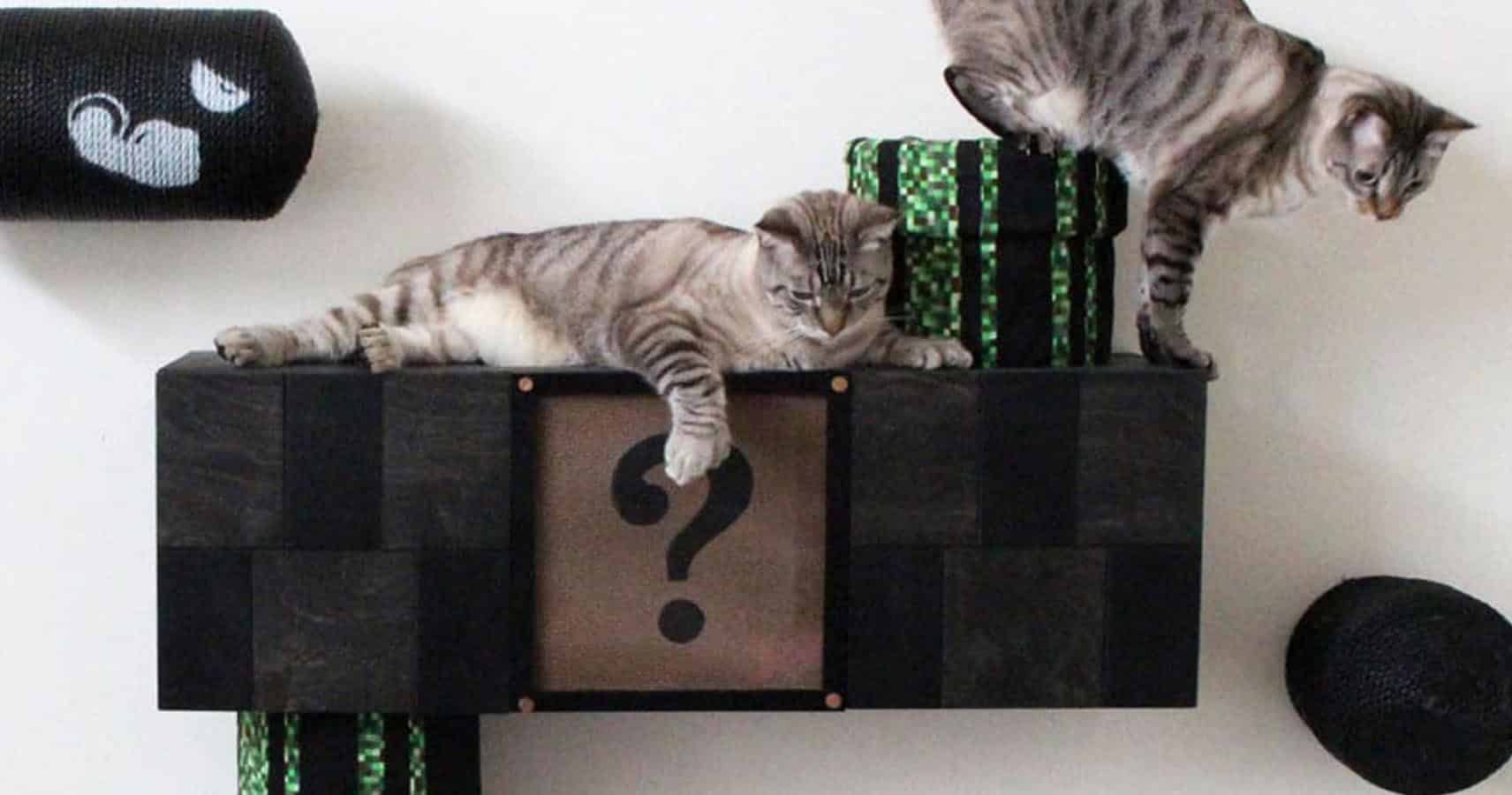 Super Mario Cat Complex Shut Up And Take My Yen