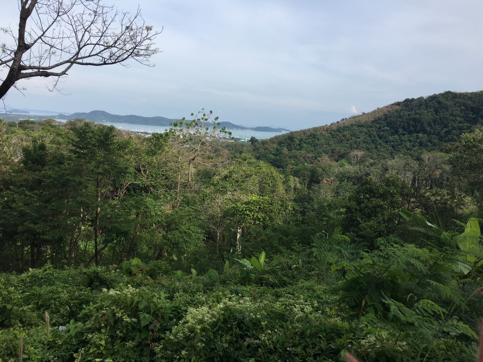 4 Rai Seaview Land for Sale Overlooking Chalong Bay Phuket