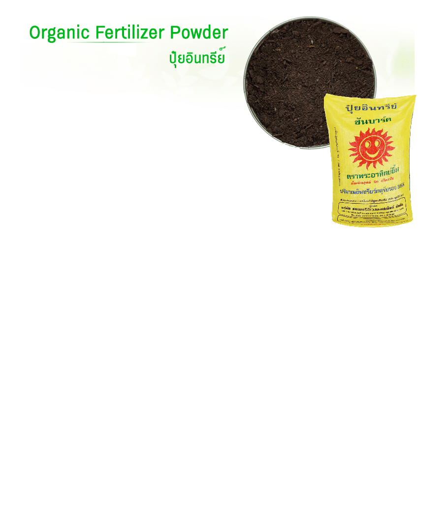 Organic fertilizer from eucalyptus bark Siamtree