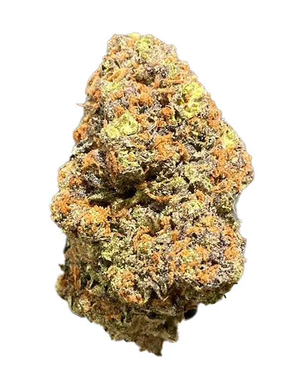 COMPOUND Z 🎰 SIAMWEEDS PURPLE LION PACIFIC