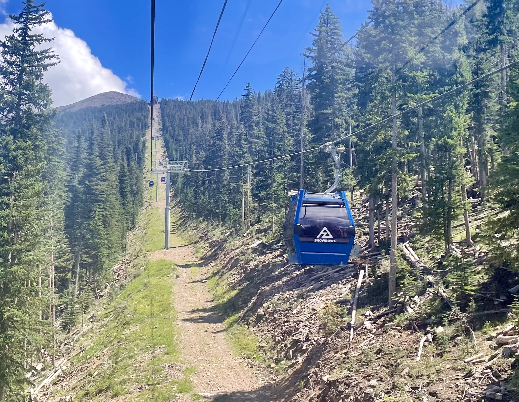 Scenic Gondola Rides at Snowbowl •