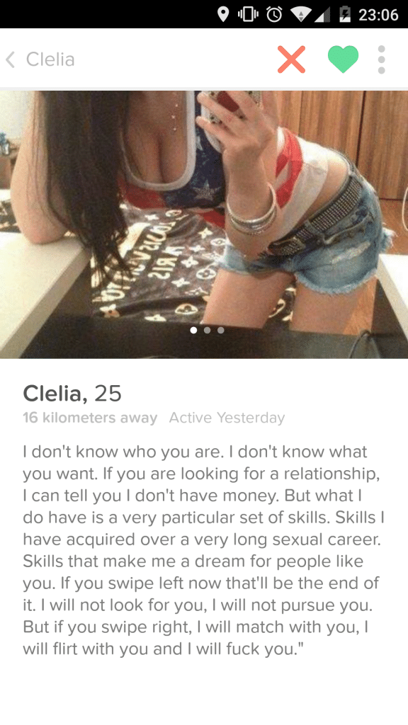 The Best/Worst Profiles & Conversations In The Tinder Universe 10
