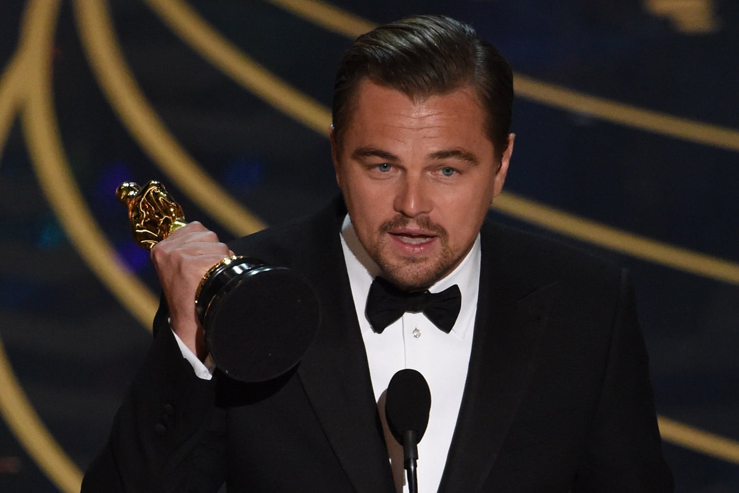 It’s Finally Happened — Leonardo DiCaprio Has Won An Oscar Sick Chirpse