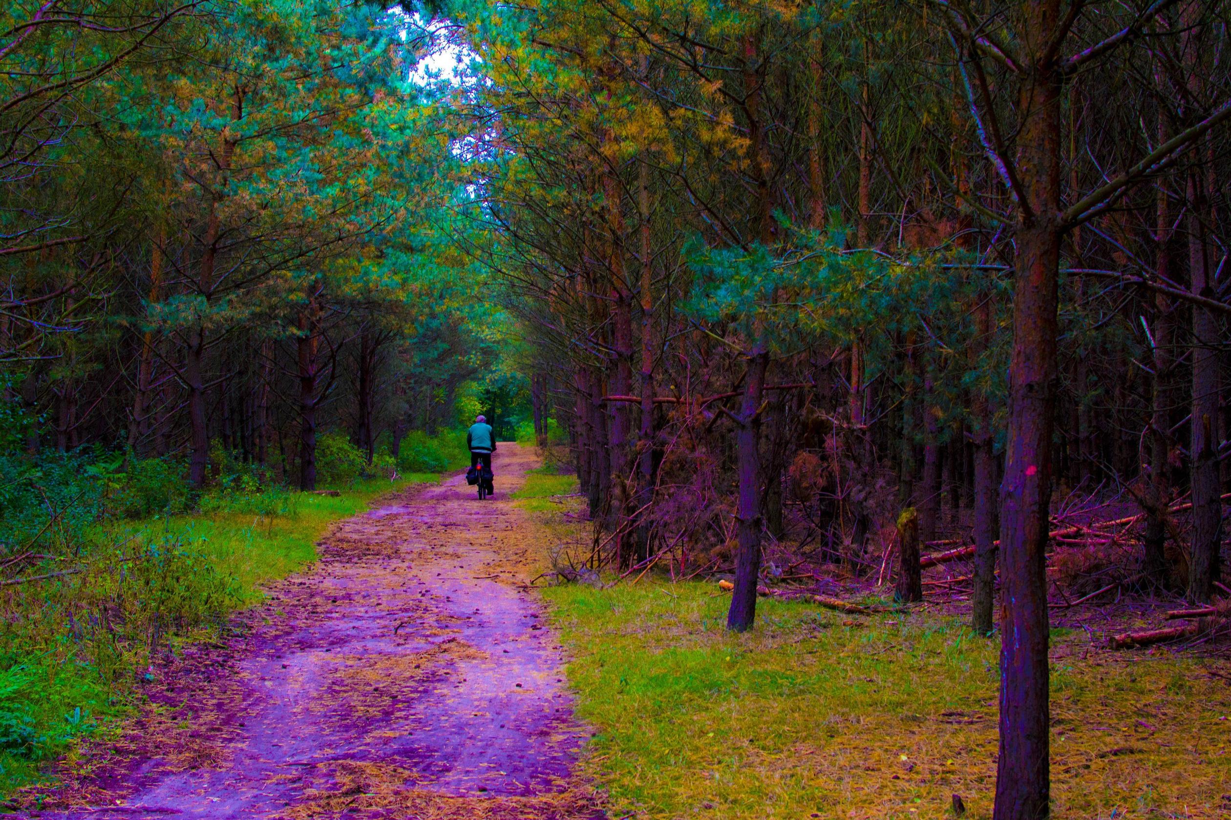 10 Gifs That Will Make You Feel Like You’re Tripping On Acid Without