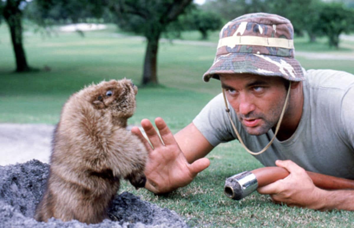 Bill Murray And His Five Brothers Are Opening A ‘Caddyshack’ Themed Bar