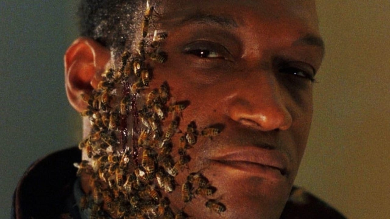 Jordan Peele Has Confirmed He S Working On A Sequel To Candyman