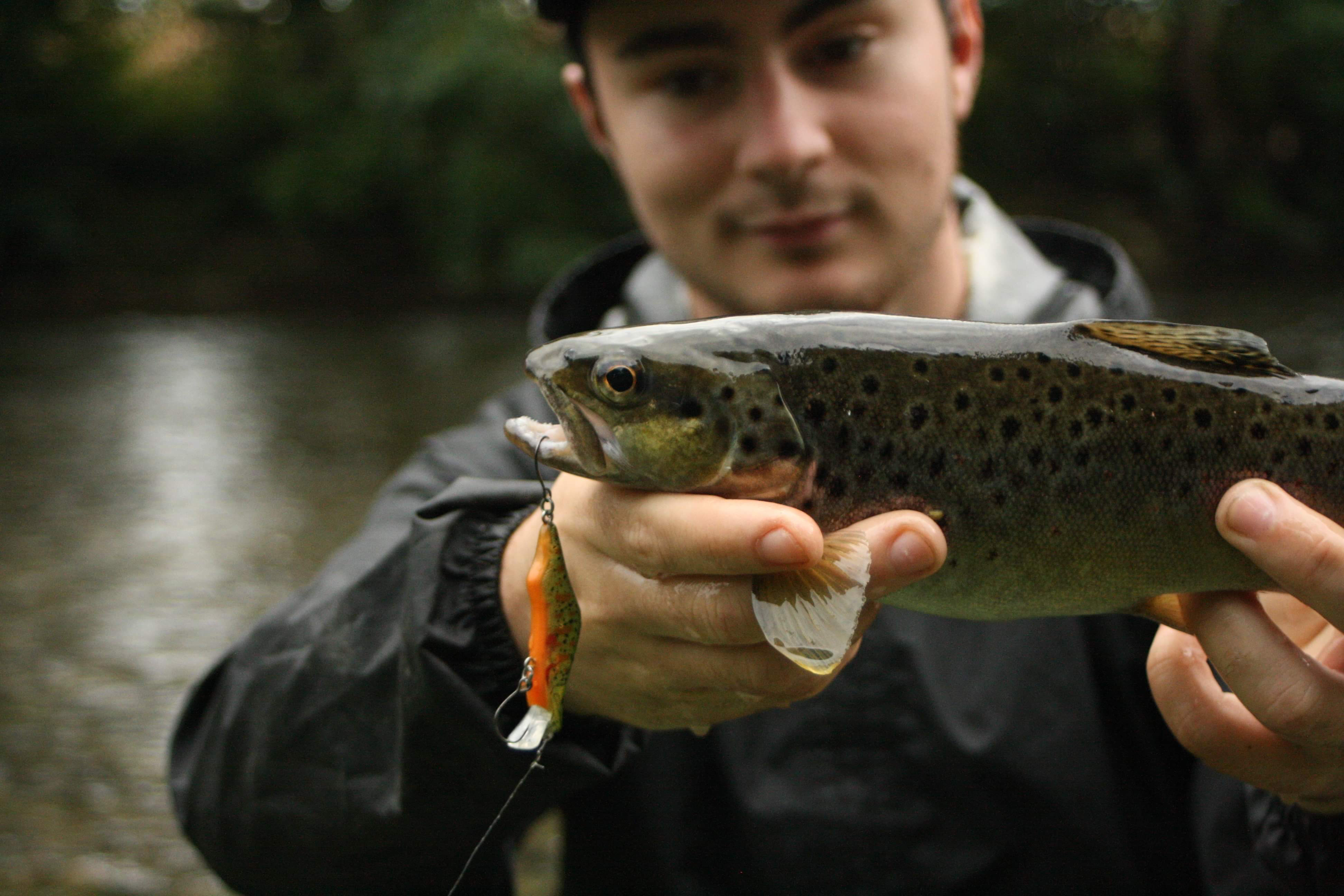 conseils peche truite leurre