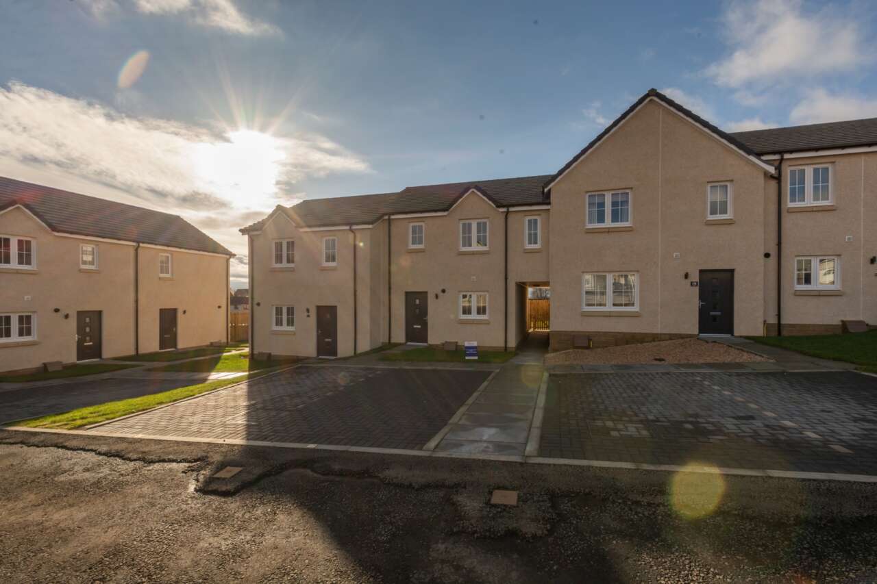 GS Brown Hayfield Brae, Methven Sidey