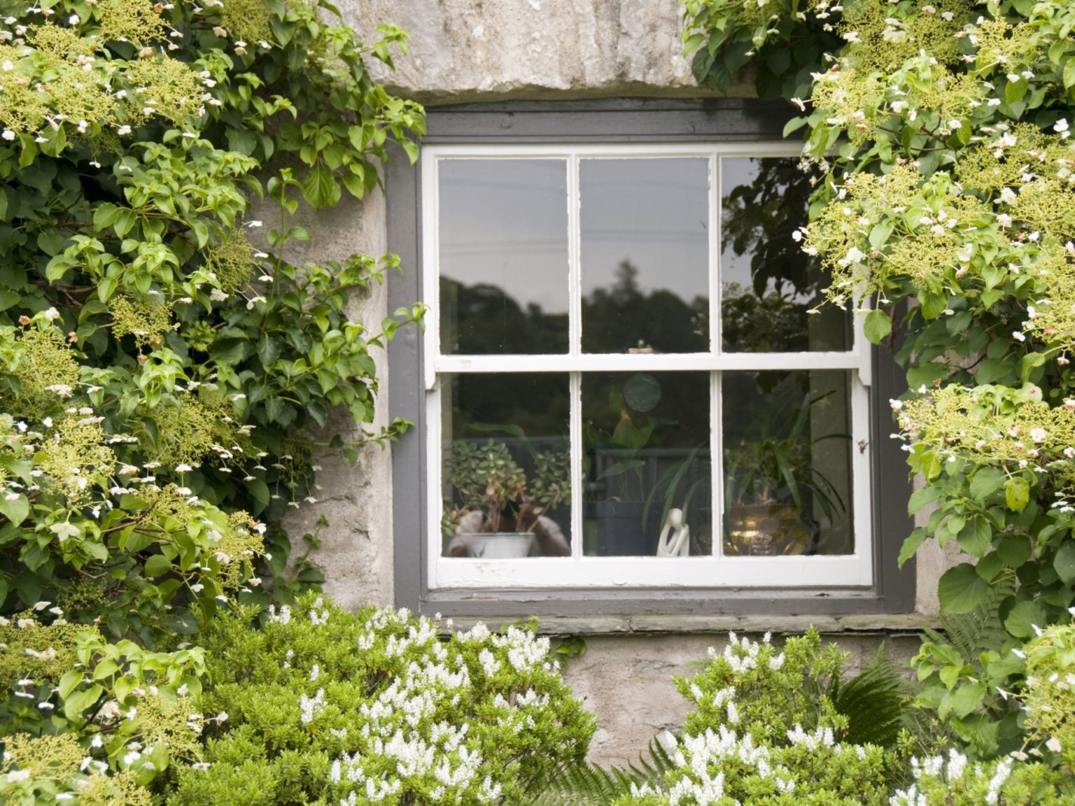 How to Clean Your Double Hung Windows Easy Steps
