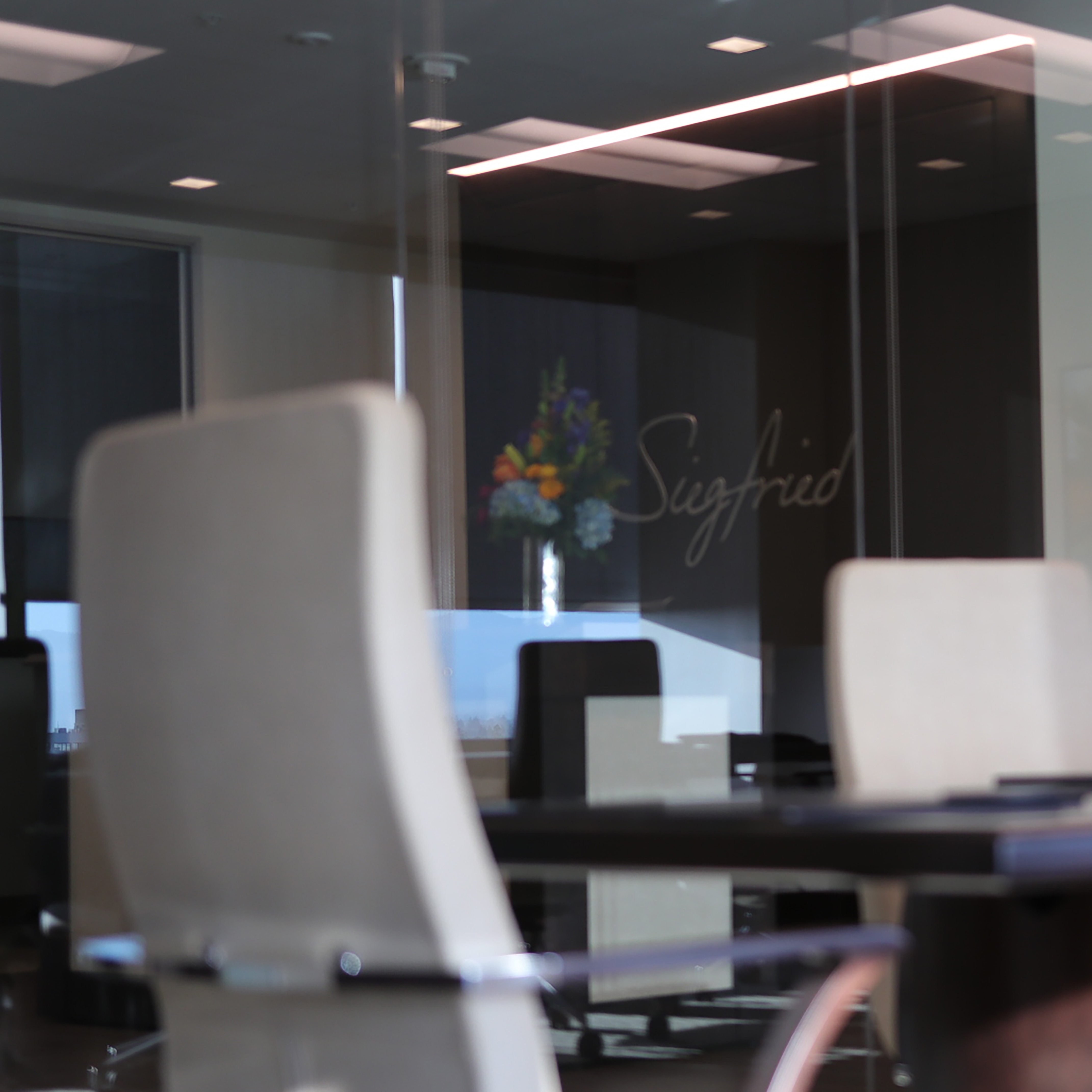 Offices The Siegfried Group