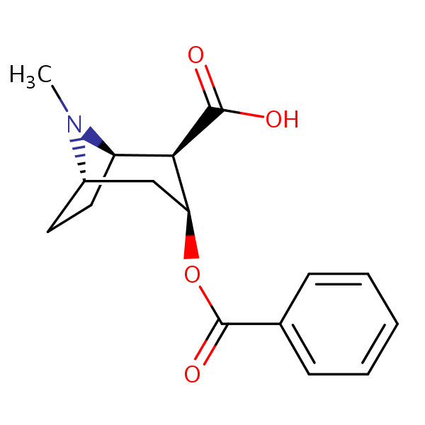 Benzoylecgonine SIELC