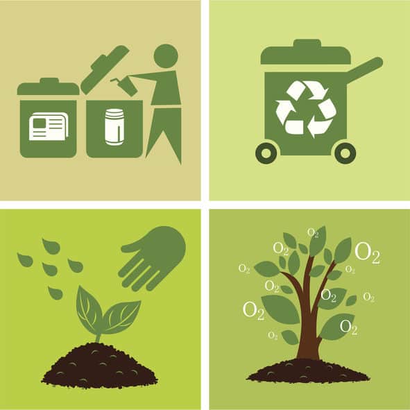 Compostable Food Packaging Sierra Coating