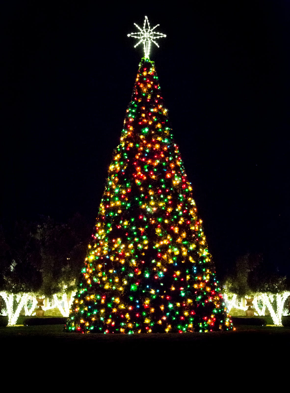 Christmas Trees At Night Christmas Tree At Night Best Decorations