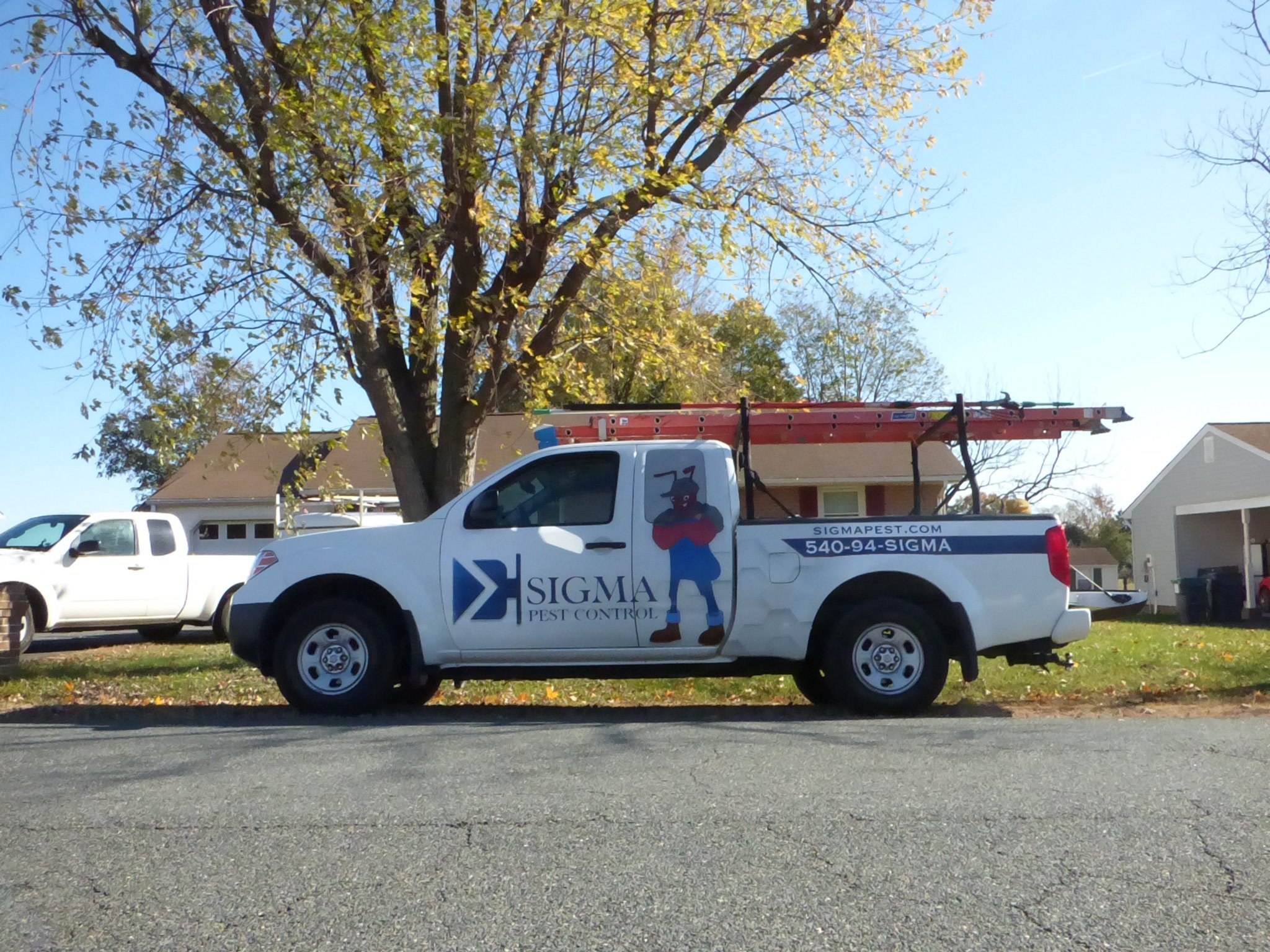 Caroline Pest Control Services Sigma Pest Control