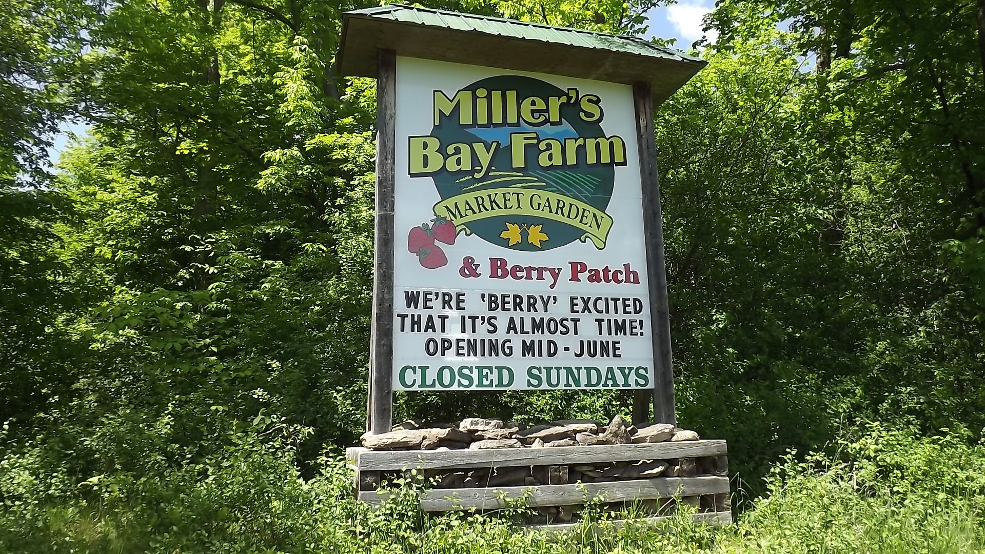 Sign Design Photo Gallery