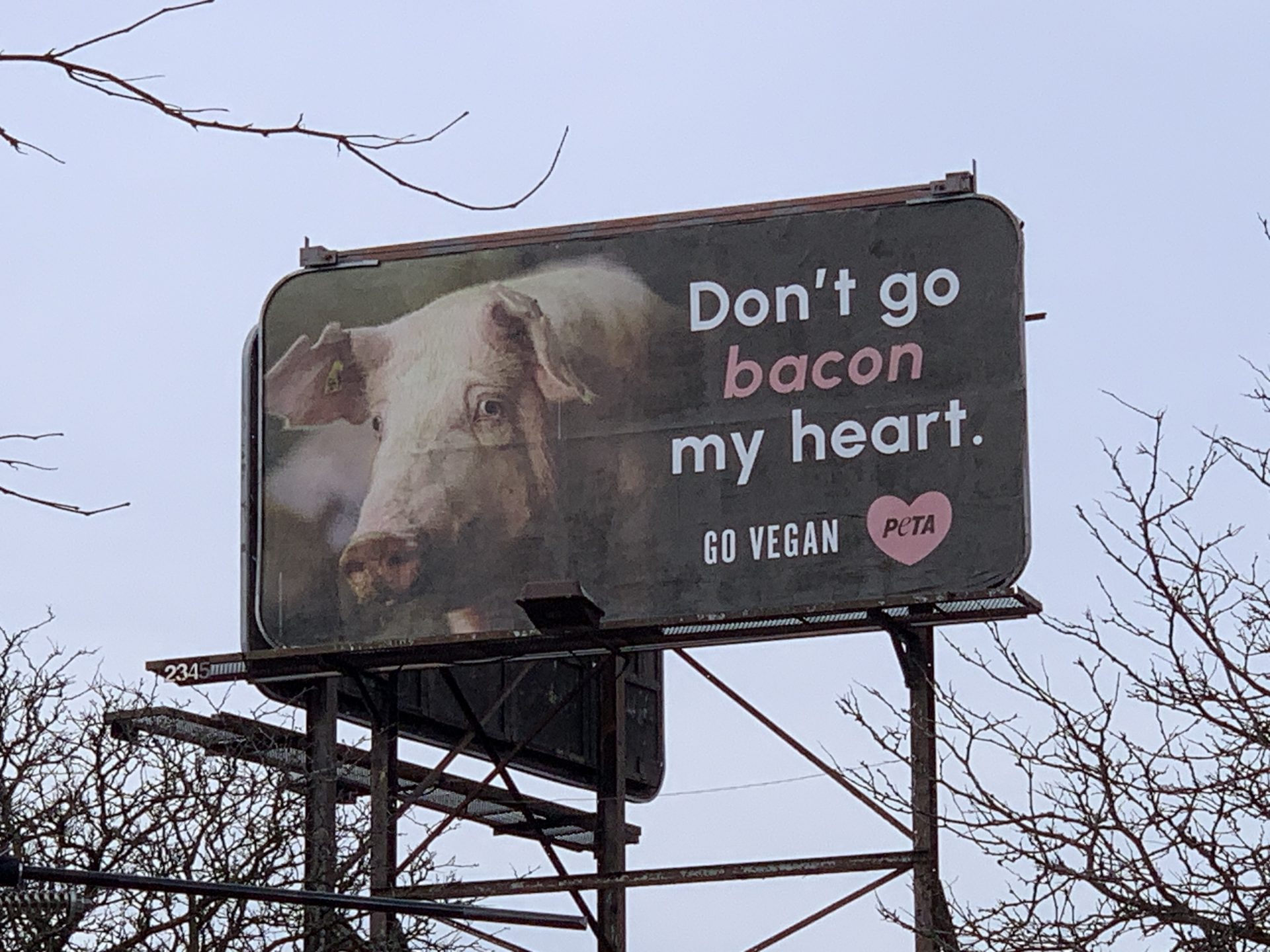 Burlington, Ont., billboards honour PETA member killed during