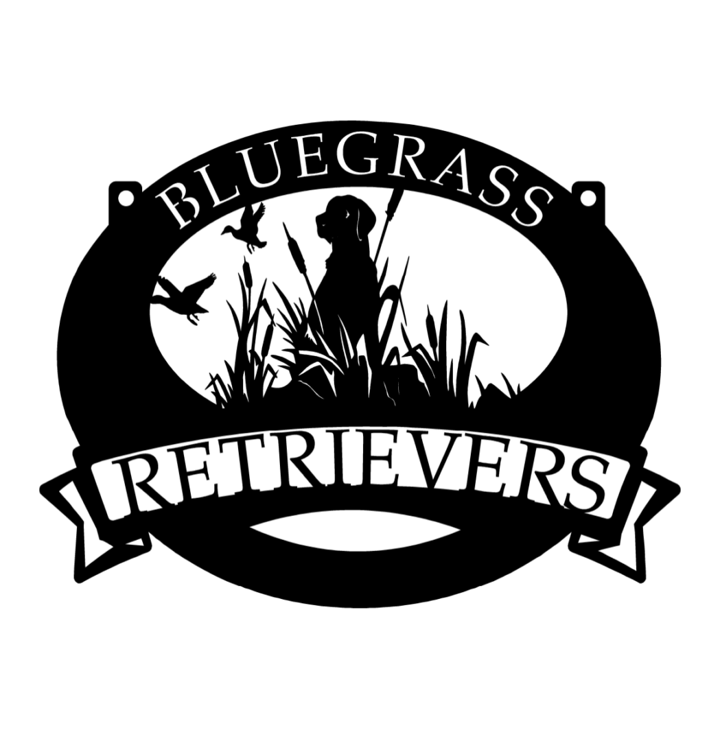 Metal Sign with hunting dog and ducks in grass customized with your