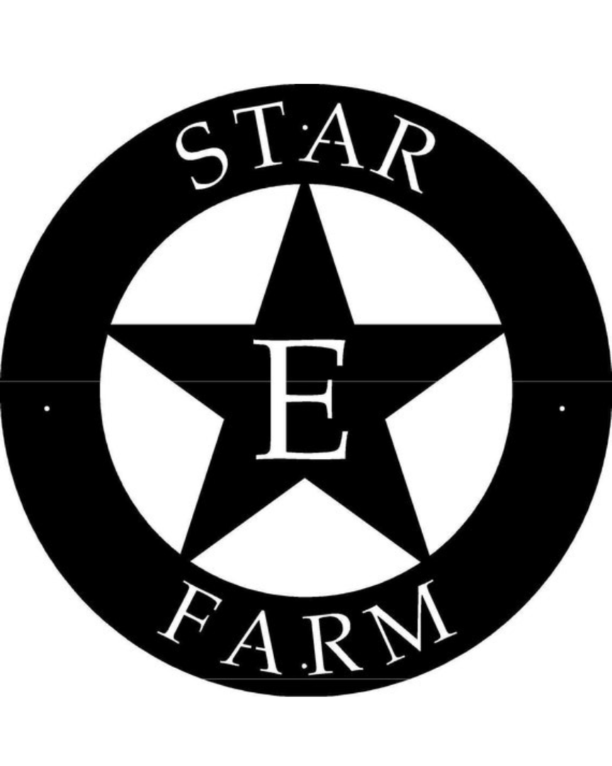 Metal star sign with STAR and custom name » Sign Performance