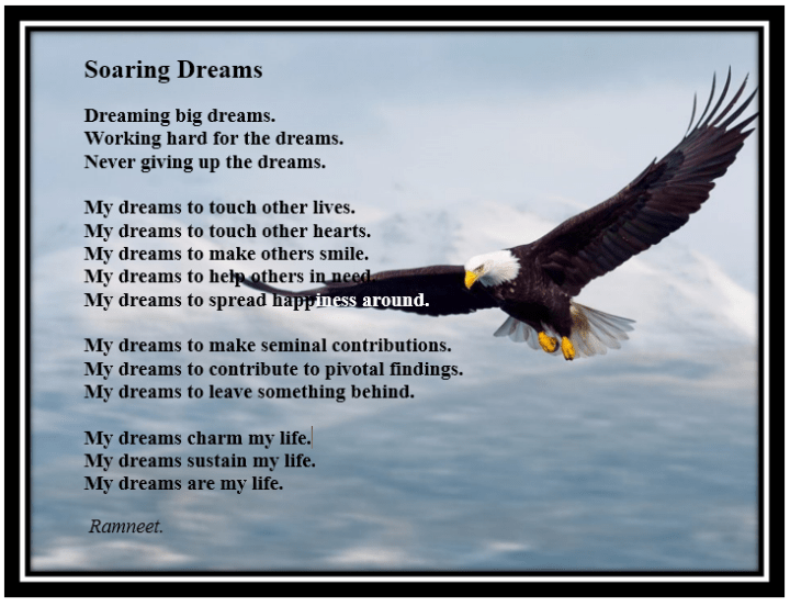 Soaring Dreams