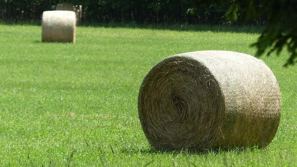 How Much Does A Roll of Net Wrap Cost SilageGuru