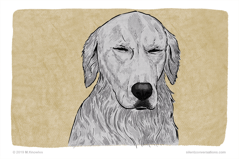 Eyes Blinking Dog Body Language Silent Conversations