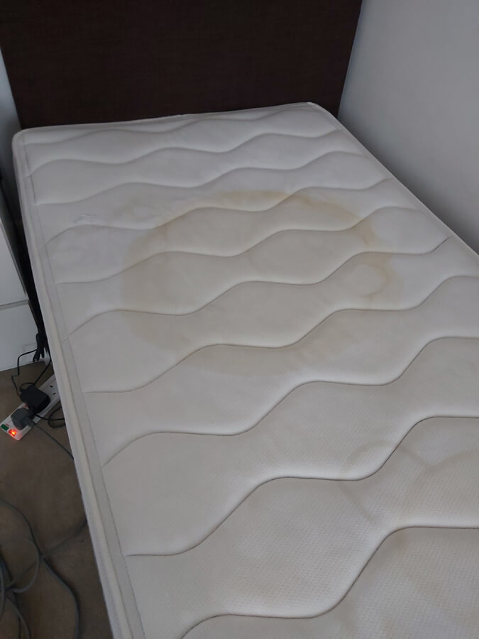 Removing Cat Urine From Foam Mattress at Richard Copeland blog