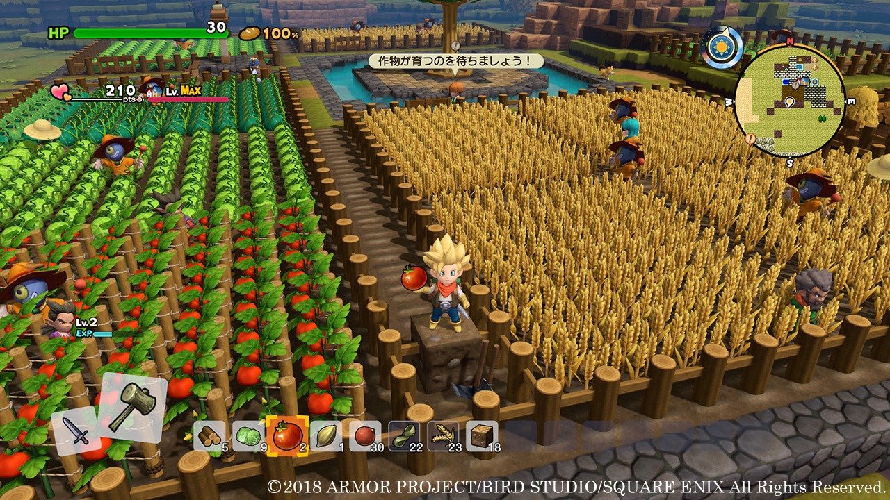 Dragon Quest Builders 2 Details Farming, Difference Between Weapons And