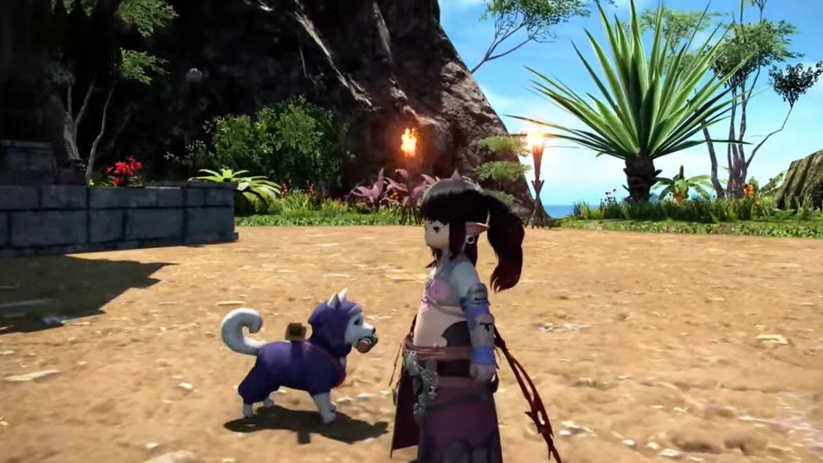 Final Fantasy XIV ottiene il nuovo Axolotl Mount e il Ninja Dog Minion