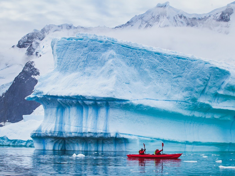 Antarctica used to have a rainforest that didn’t get sun for months on end