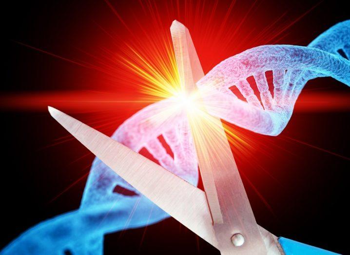 Nobel Prize in Chemistry awarded to duo behind CRISPR breakthrough