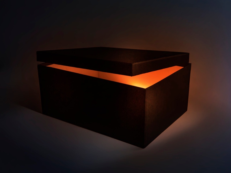 Explainer What is an AI black box?