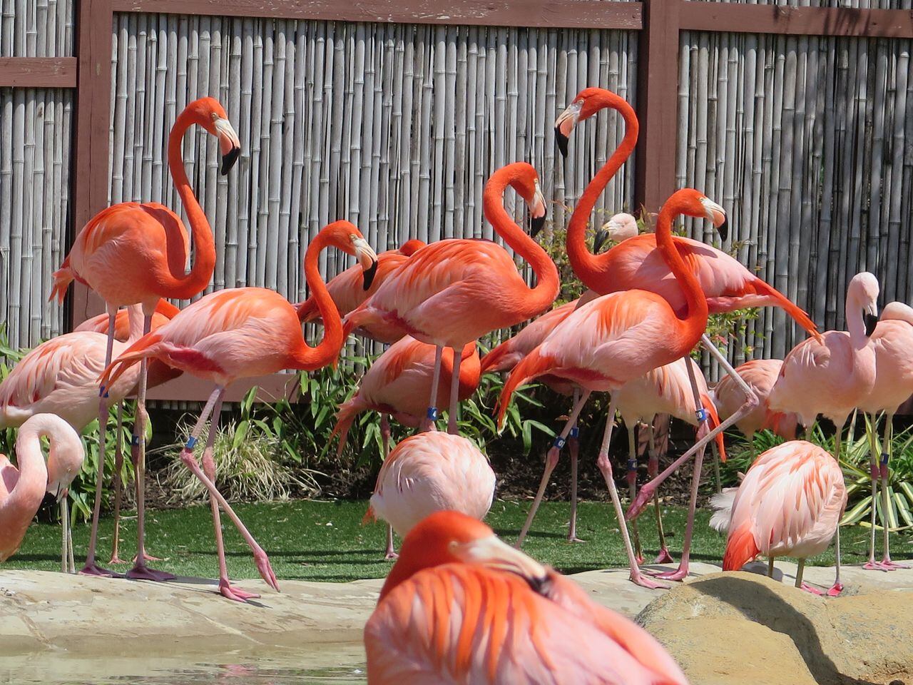 Turtle Back Zoo provides visitors with hundreds of animals and