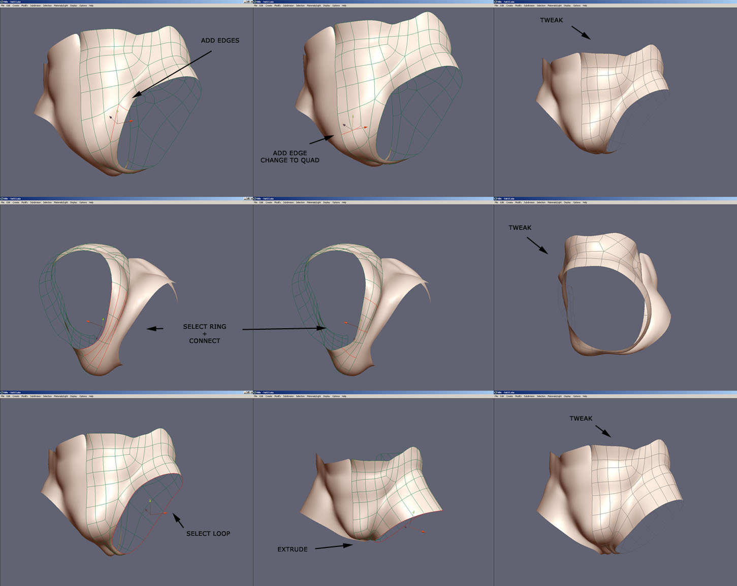 Part 11 Lower Body & Legs