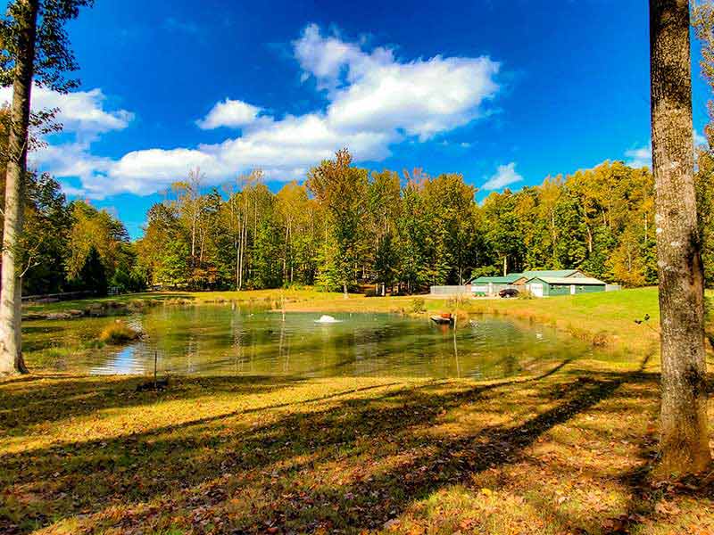 About Us Silverbrook Kennels Fredericksburg, Aquia VA