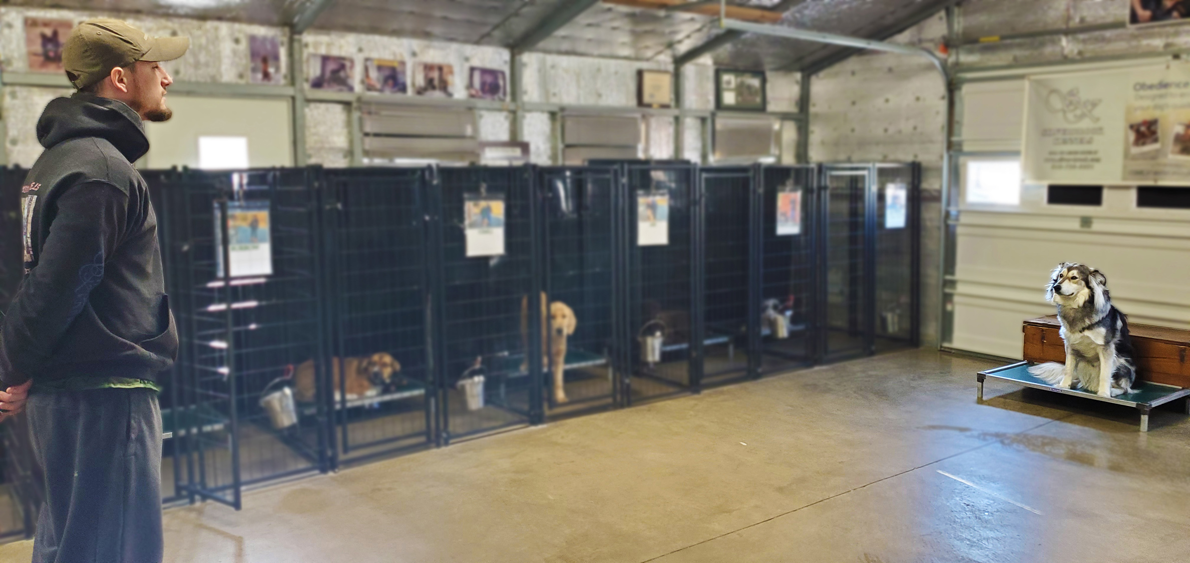 Silverbrook Kennels Gallery Fredericksburg, Aquia VA Dog Training