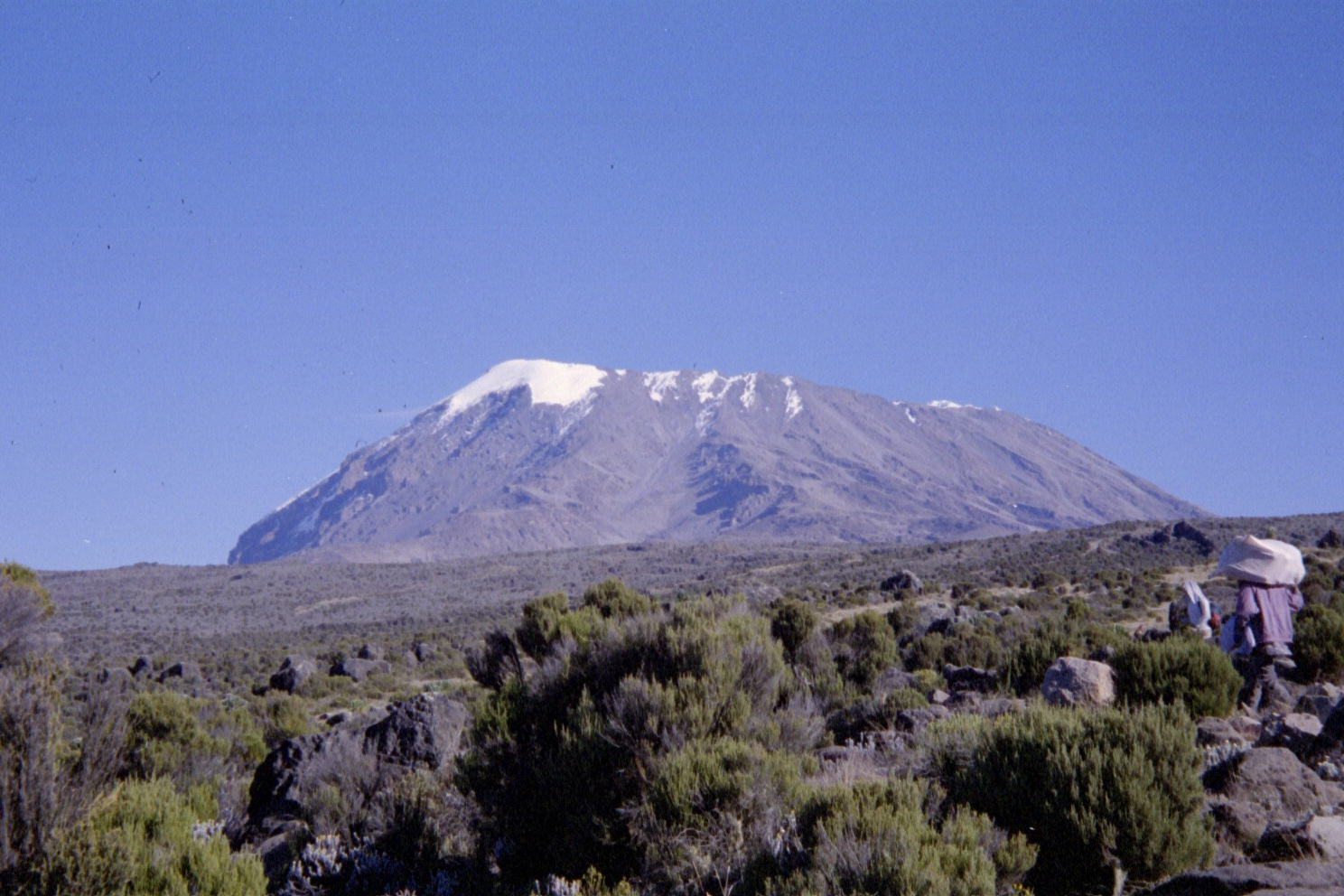 Kilimanjaro Trek