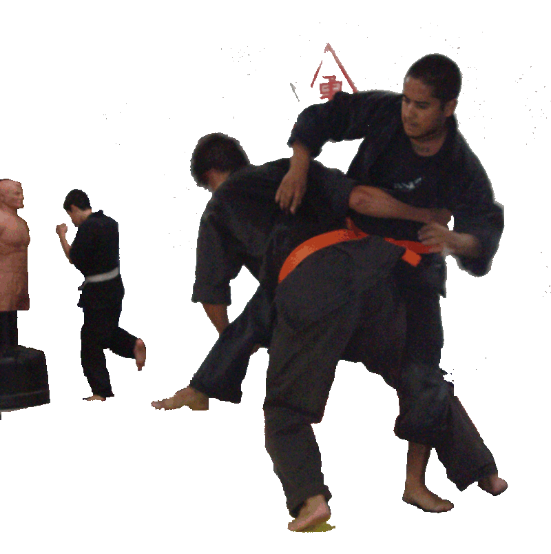 SilverCraneDojo Martial Arts Los Angeles only Dux Ninjitsu