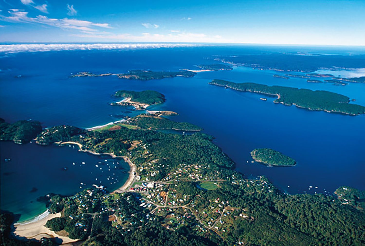 Things To Do Southlands & Stewart Island Silver Fern Holidays