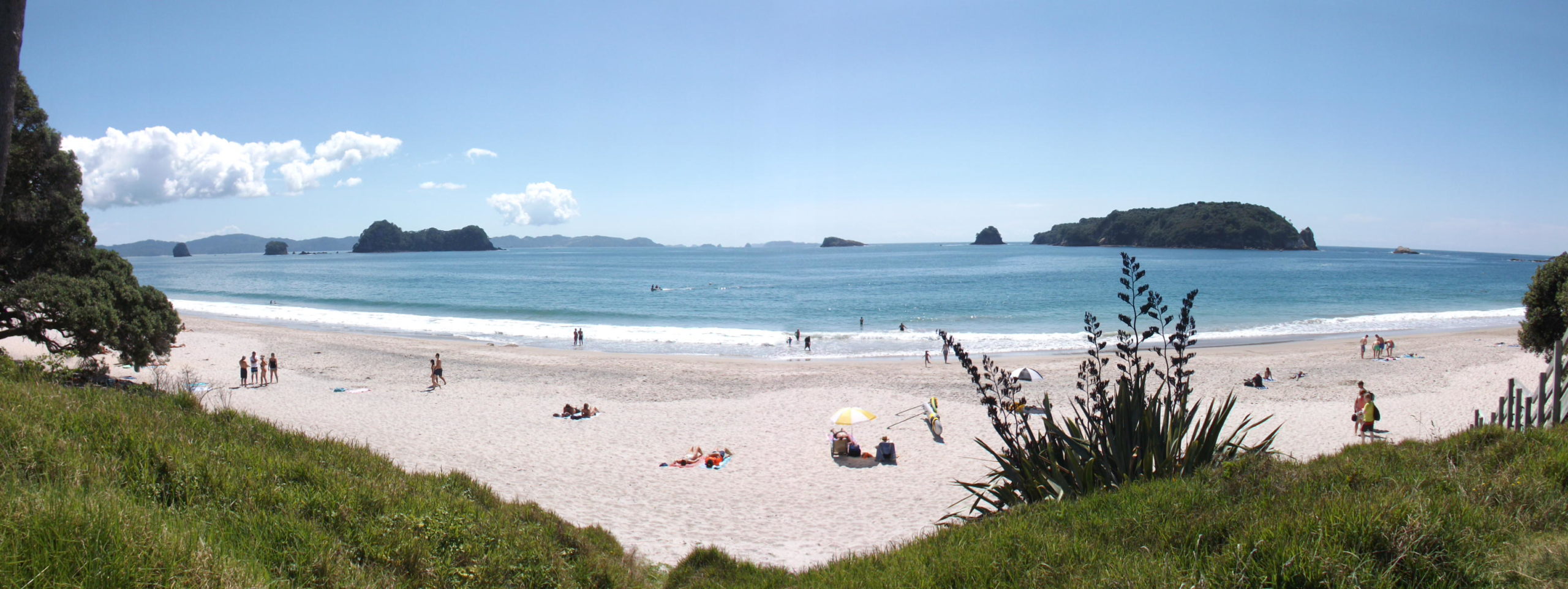 Visit The Coromandel Holidays, Attractions & Places to Visit