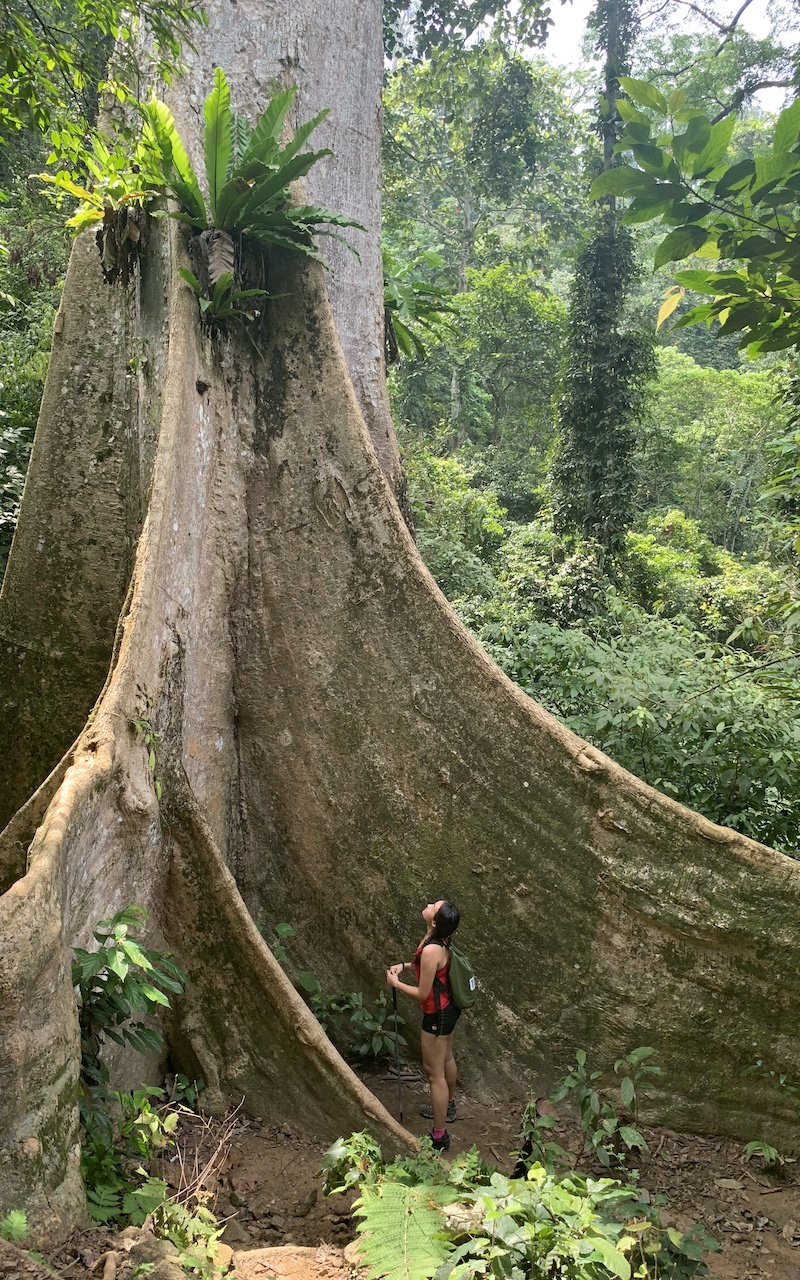 8 secret green spaces in and around Penang you need to